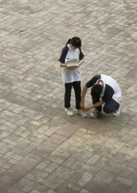 沉浸式收纳评论